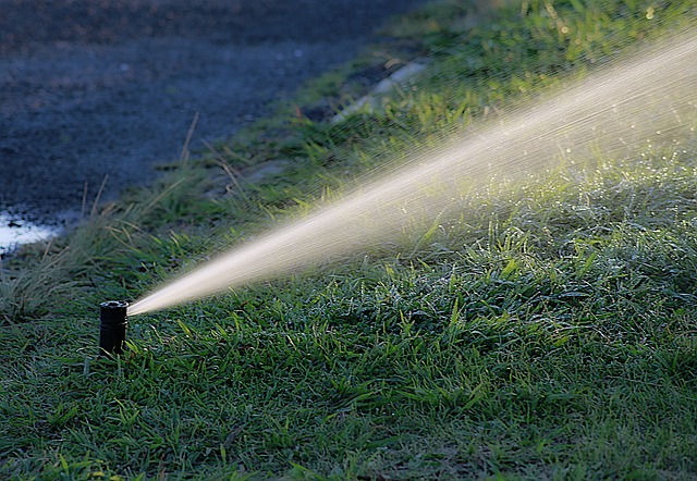 Rasensprinkler im Einsatz